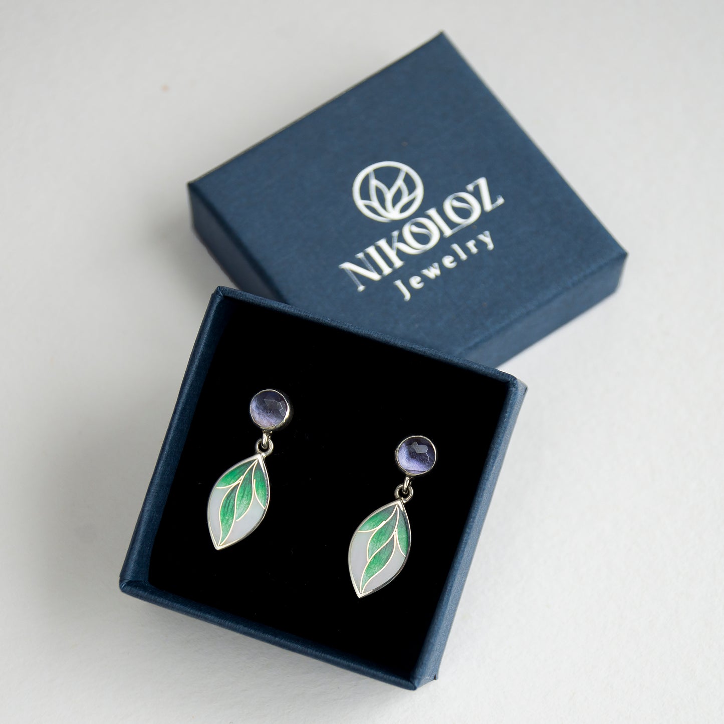 Cloisonne Enamel Earrings With Iolite Stone